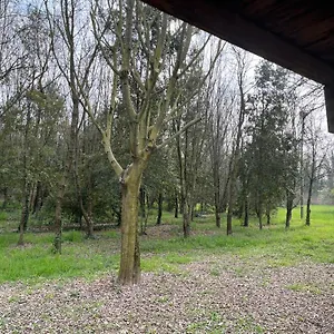  Apartmán Woods